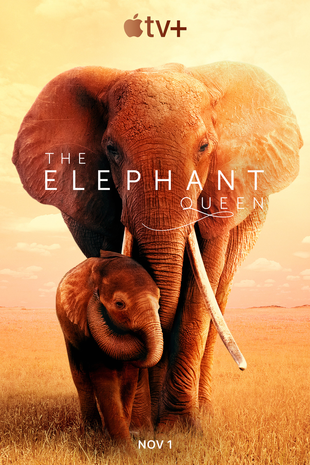 The Elephant Queen (2018) Dual Audio